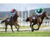  Carrera: P.Hermanos Bittini Monta: V. Alonso V Caballo: Concepcion Line